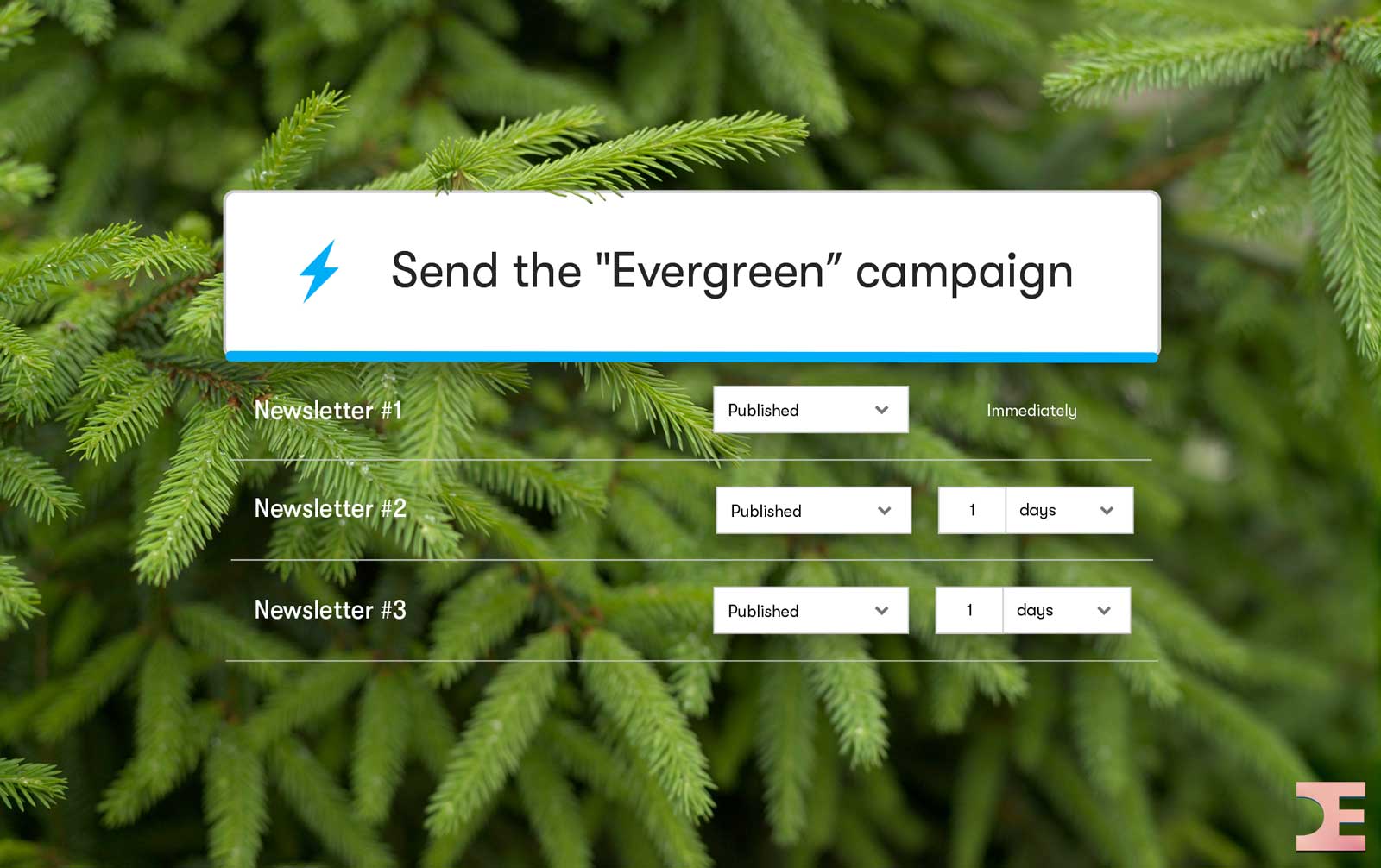 How to Transition to an Evergreen Newsletter